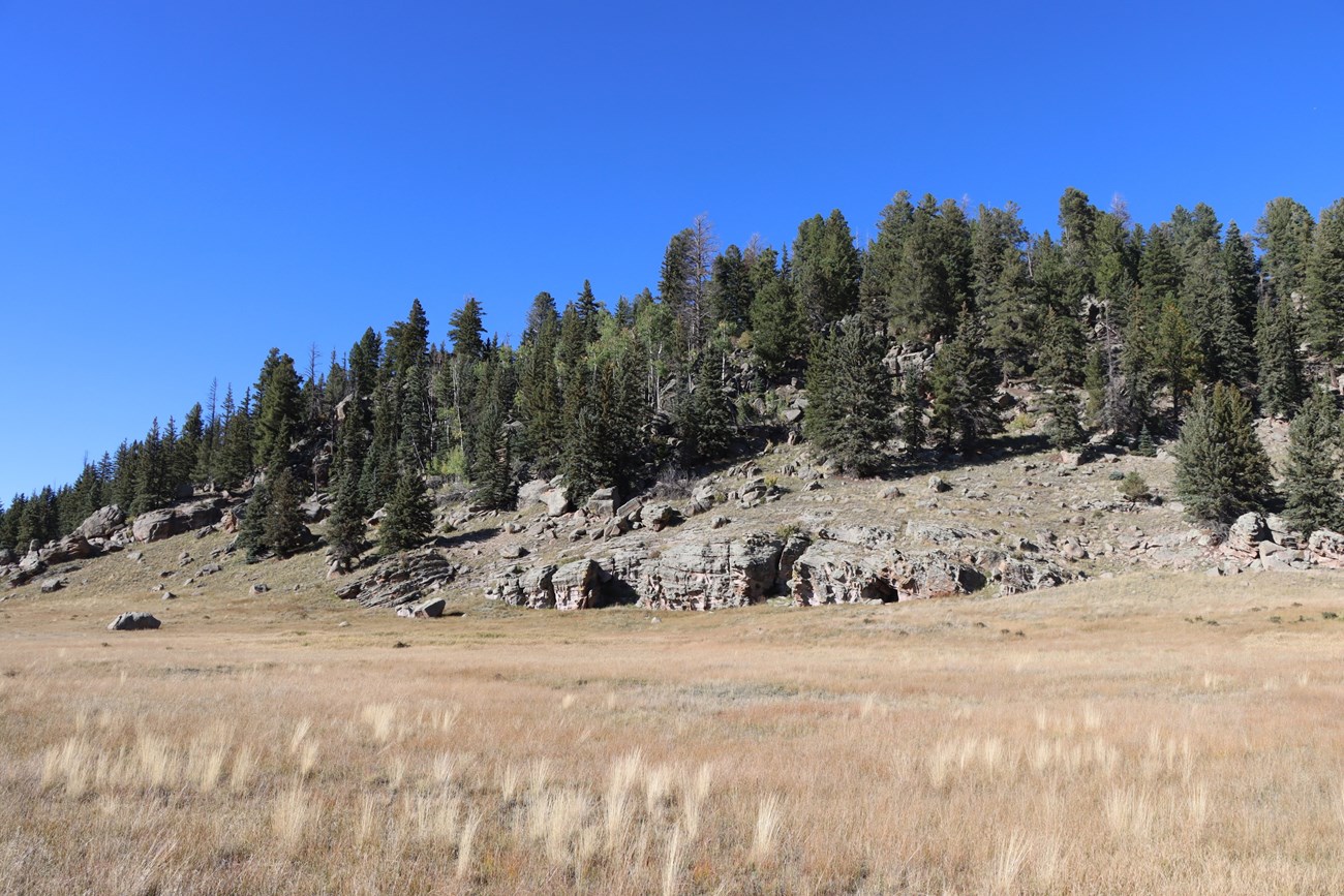 Large outcroppings of volcanic rock jut out of a forested hillside.