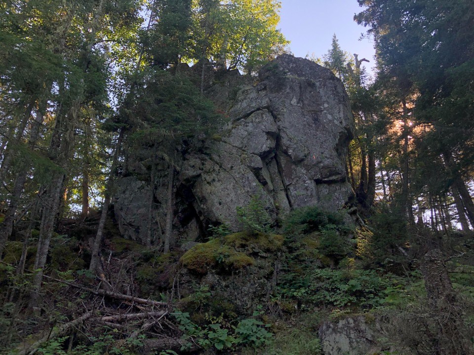 An image of a large boulder surrounded by dense foliage and tree canopy.