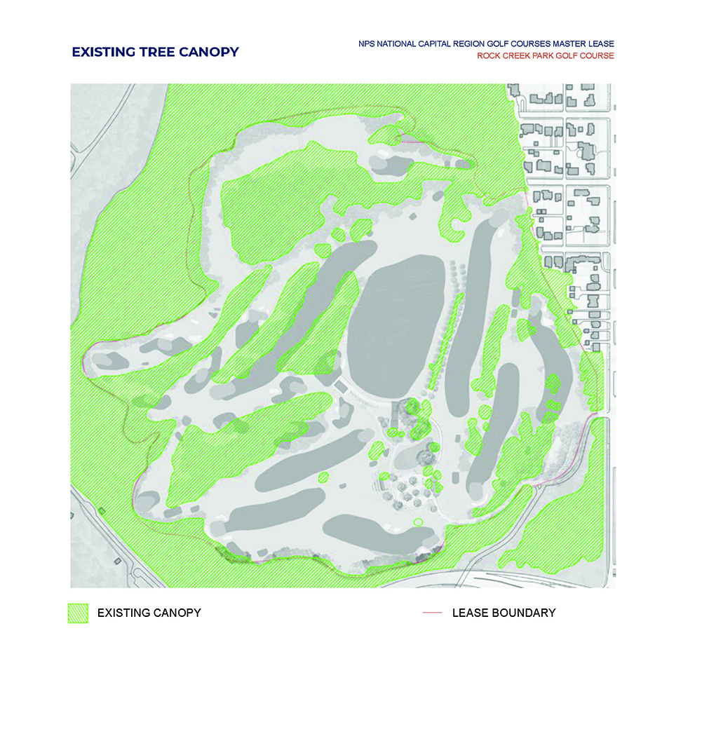 existing tree canopy in green