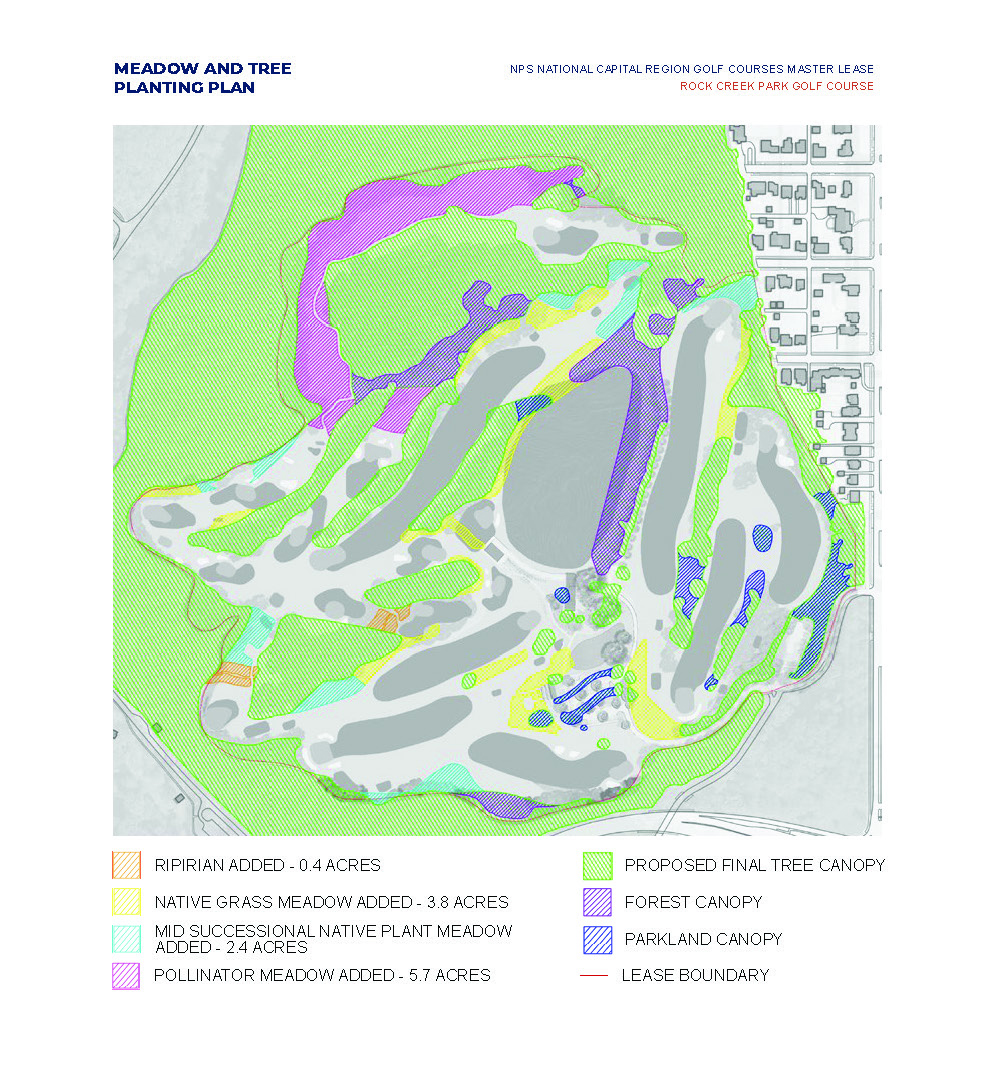 existing tree canopy in green