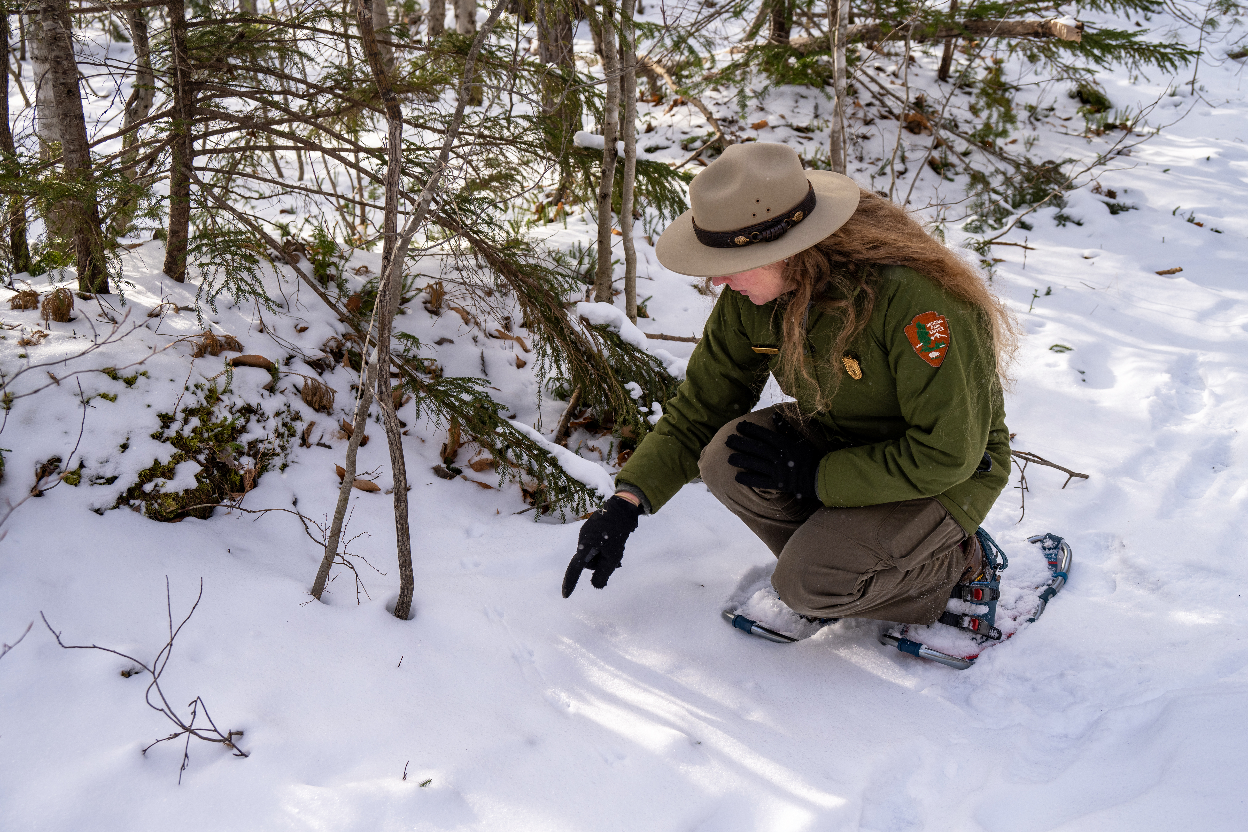 A NPS ranger (in uniform) leads a group of students through the lush green woods during a field trip visit to learn about ecology.