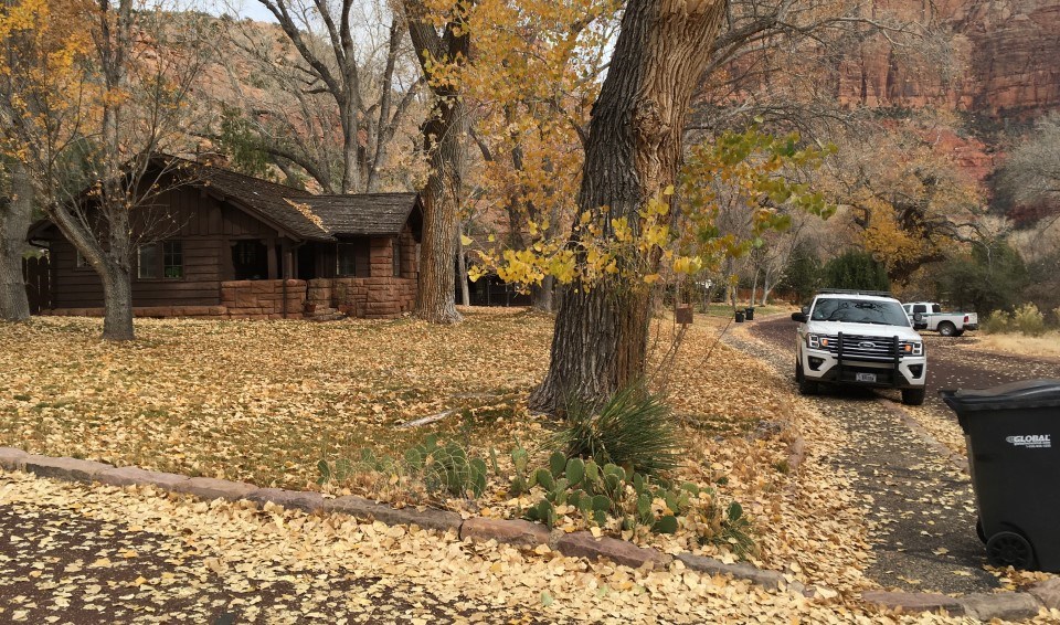 Workers in a yard with saplings, three wooden and stone houses are in the background with Zion Canyon.