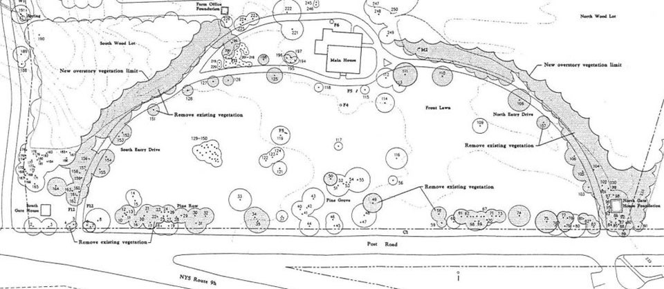 A plan shows landscape features and vegetation that was planned for removal, marked by gray shading.