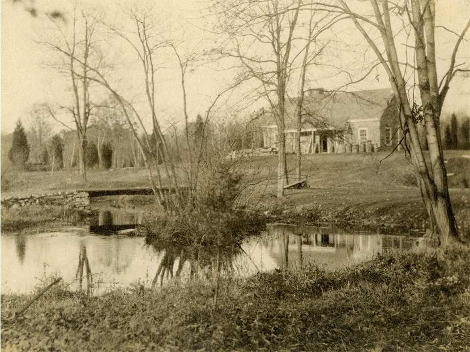 Grasses and leafless trees surround a natural-looking pond in a sepia-toned photo.