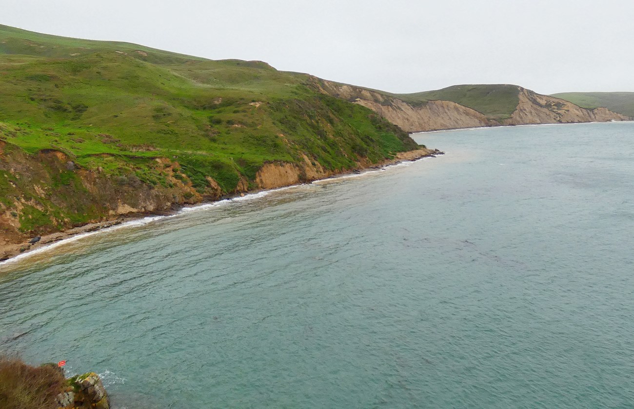 No beach. The ocean reaches right up to the very base of steep bluffs. Elephant seals are squeezed up against the bluffs.