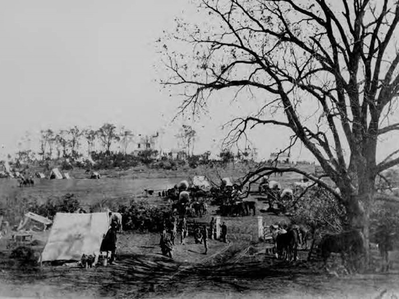 Soldiers stand among covered wagons and canvas tents with bare trees and shrubs scattered throughout landscape.