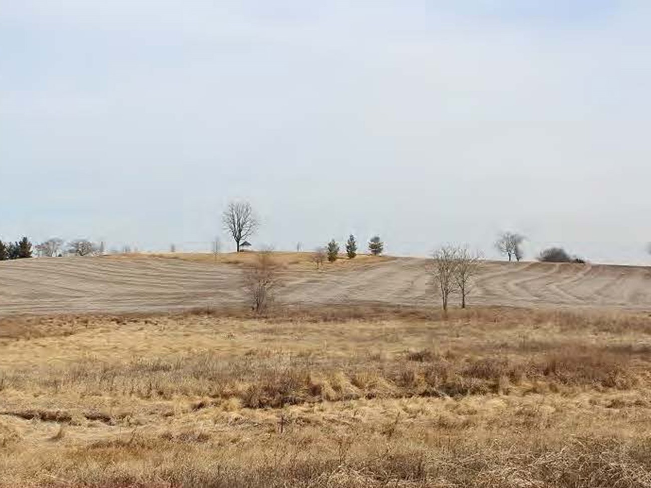 Soldiers stand among covered wagons and canvas tents with bare trees and shrubs scattered throughout landscape.