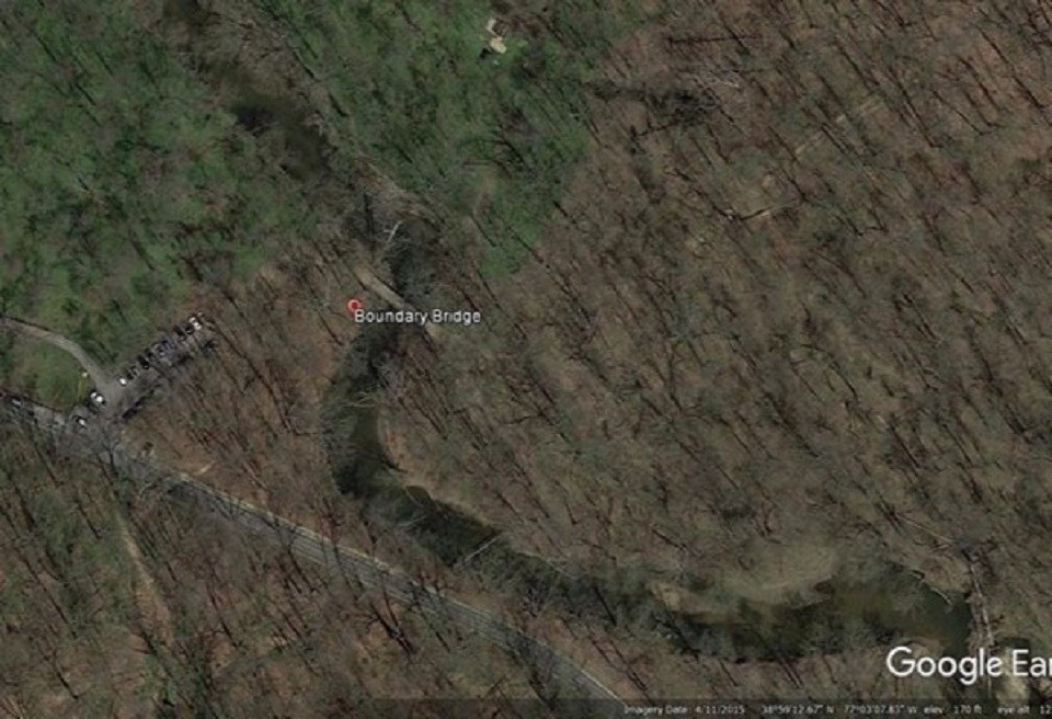 aerial photo of forest with creek, road, and green forest floor