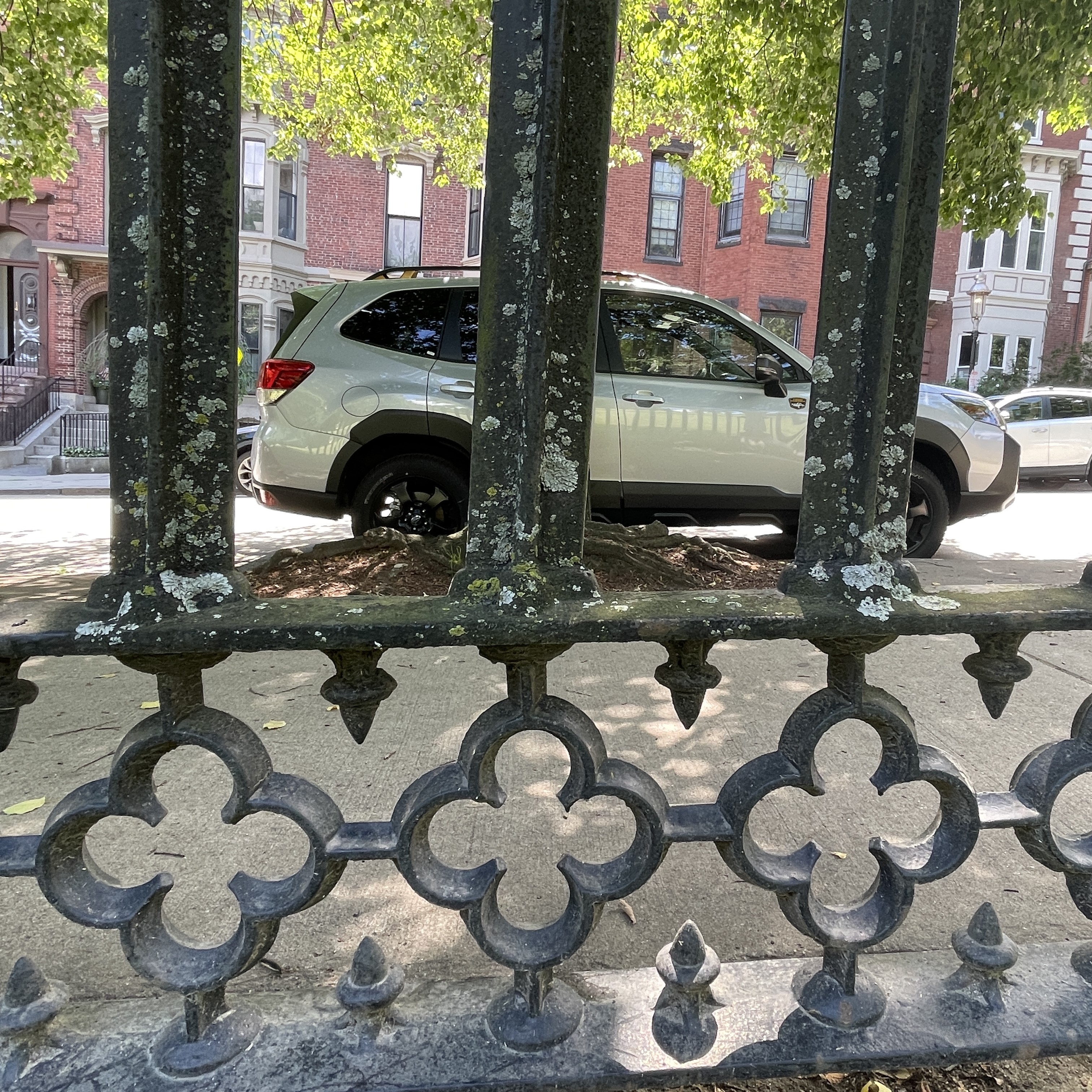 The bottom portion of a wrought-iron fence. Three bars and three floral decorations are visible. The fence is covered in lichen and the paint, formerly black, is now dark grey after weathering.