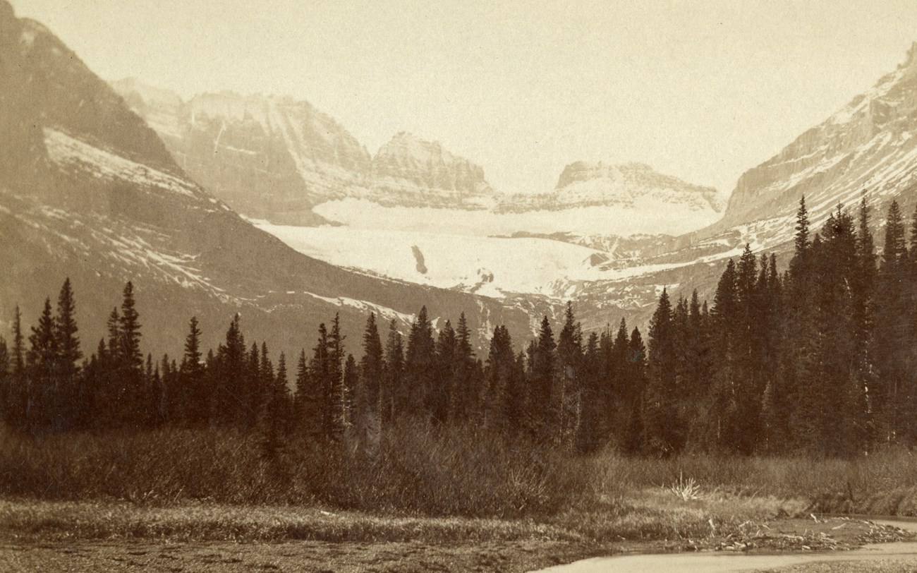 black and white landscape of mountains, forest, and a glacier