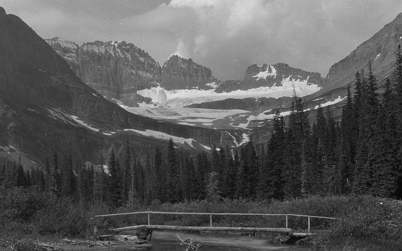 black and white landscape of mountains, forest, and a glacier