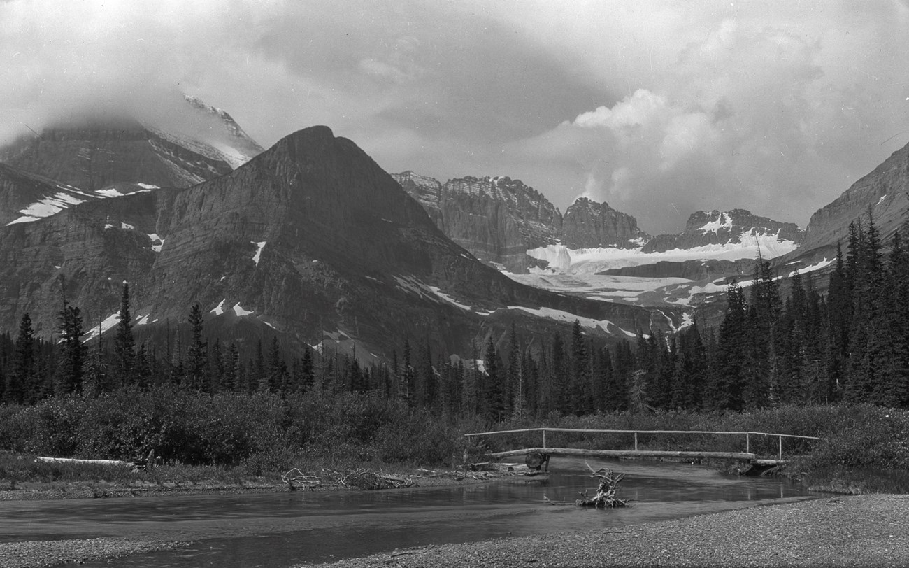 landscape of mountains, forest, a glacier, with a log bridge in the foreground