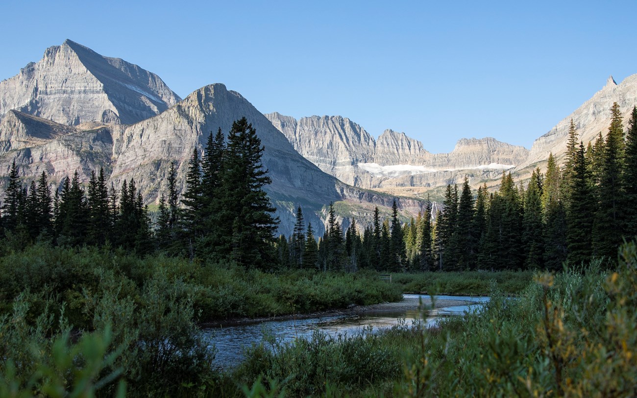 landscape of mountains, forest, a glacier, with a log bridge in the foreground