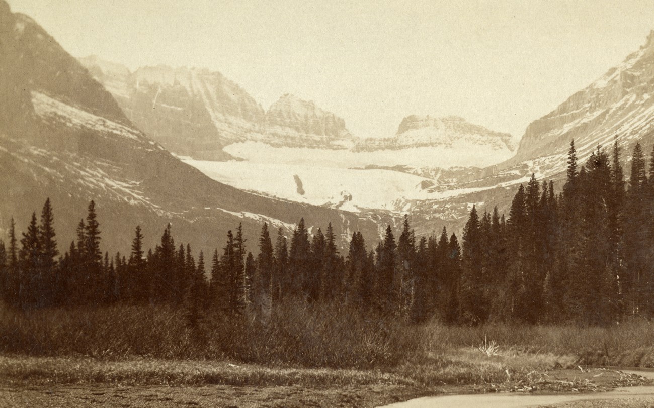 An old sepia landscape image of a mountain glacier with trees in the foreground.