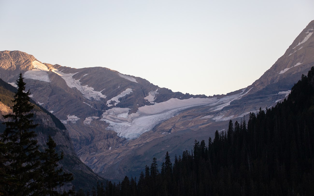 A distant landscape of a glacier with a forest in the foreground.