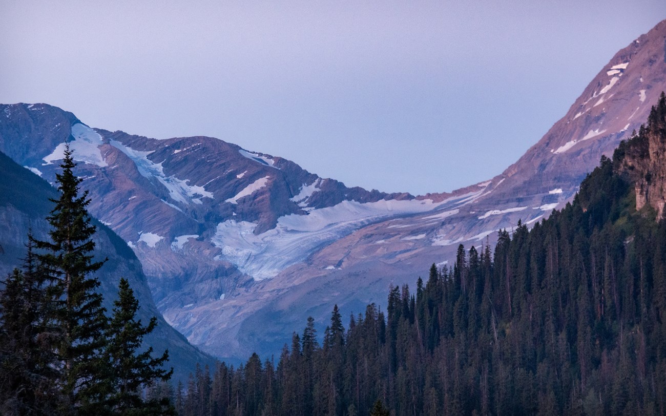 A distant landscape of a glacier with a forest in the foreground.