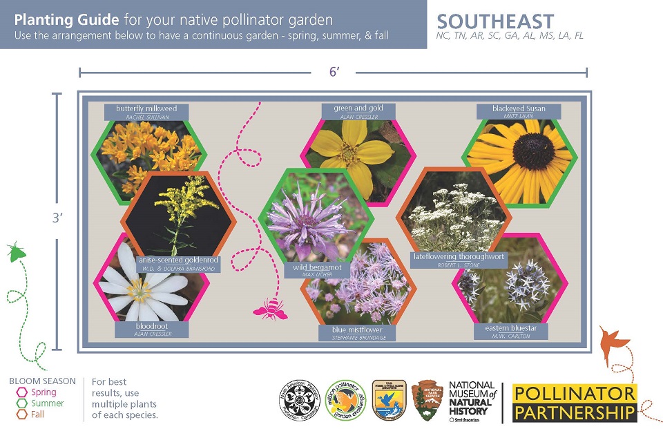Southeast Region Pollinator Card (front)