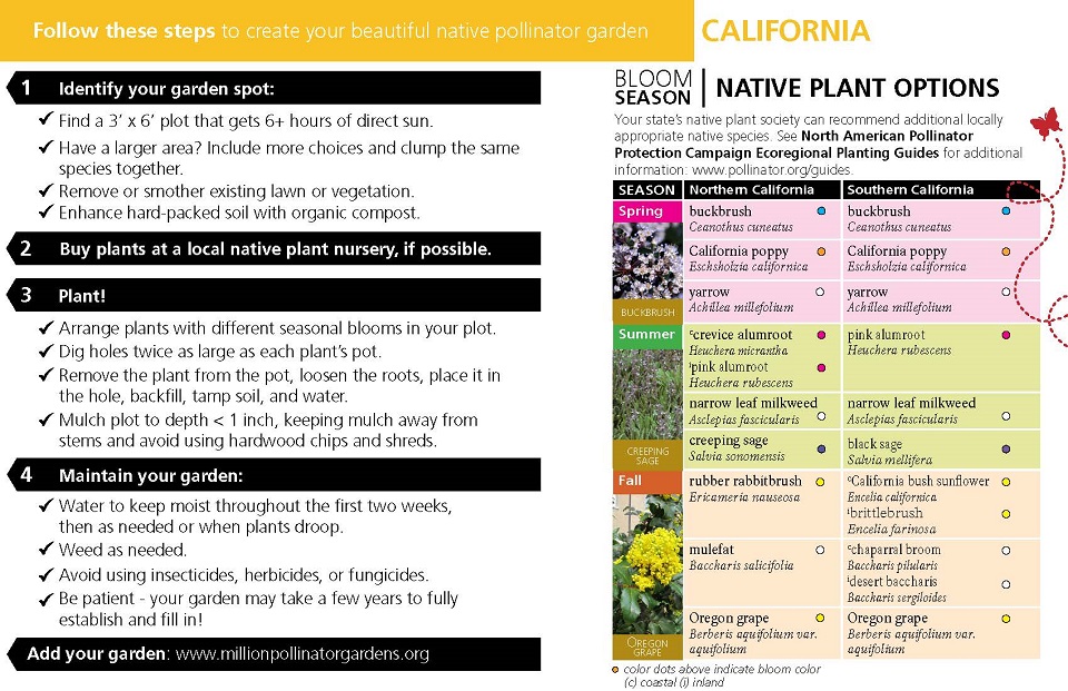 California Pollinator Card (front) - full alt text available below image