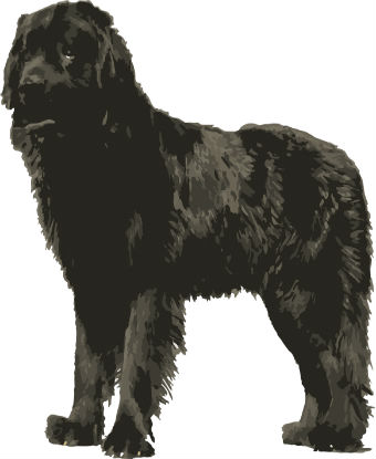 Line drawing of dog