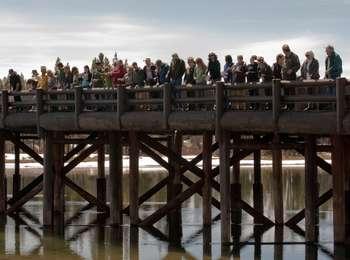 People line the railing of a rustic wooden bridge made of thick logs