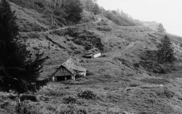 B&W two buildings on left side of hill with evergreen tree
