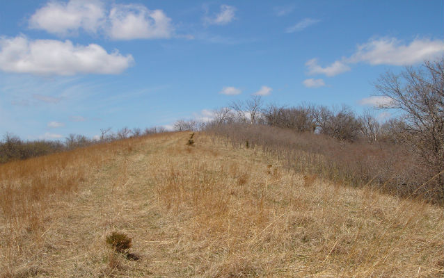 hill with prairie grass and blue sky