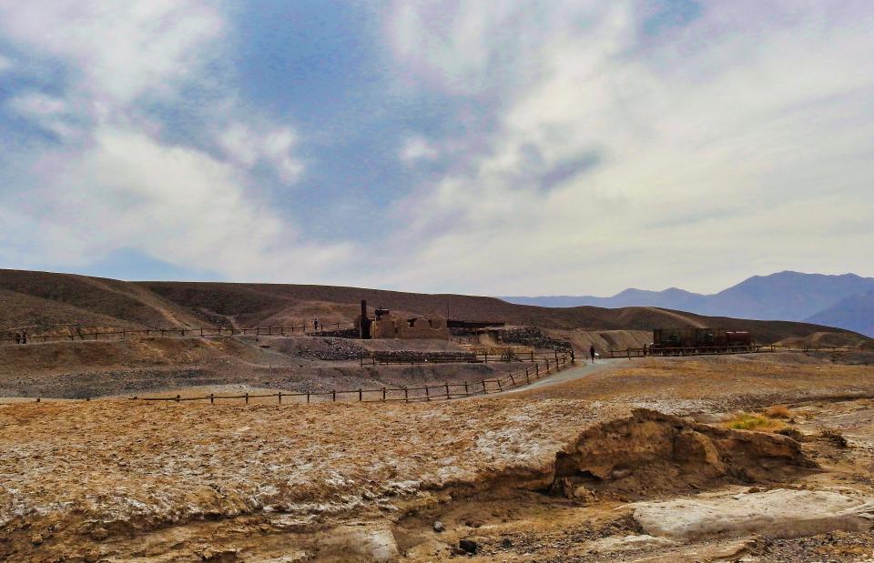 Photo of 20 mules towing wagon with buildings in background.