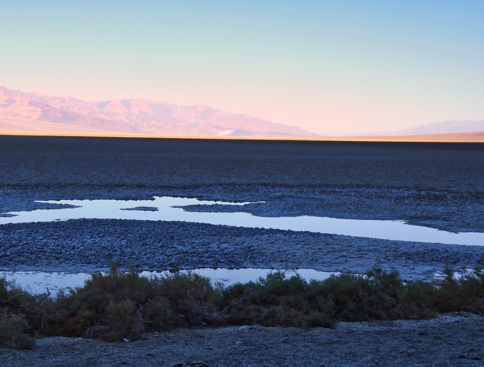 People in a car standing and looking at water in desert.