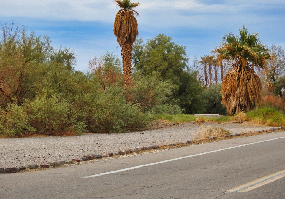 People with flags and banners march on the street.