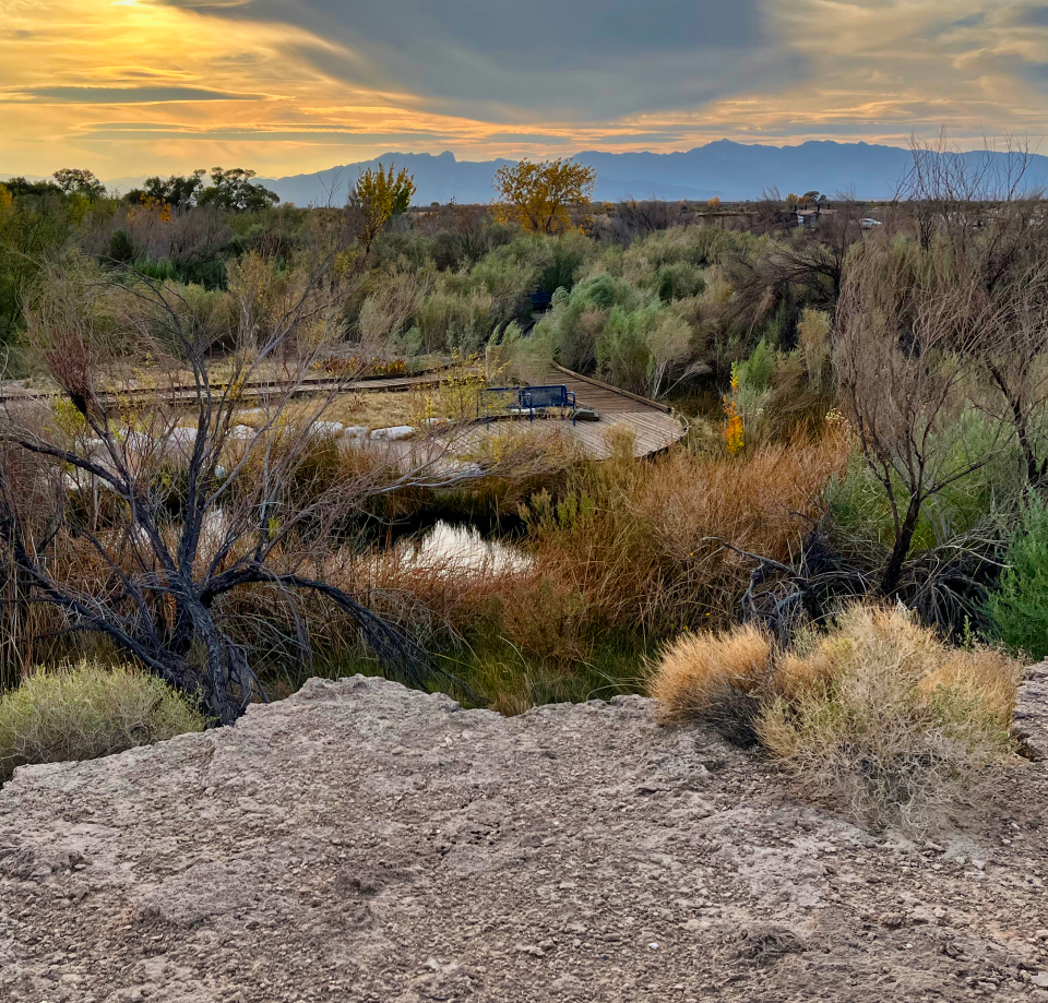 A truck and man next to pond with power lines