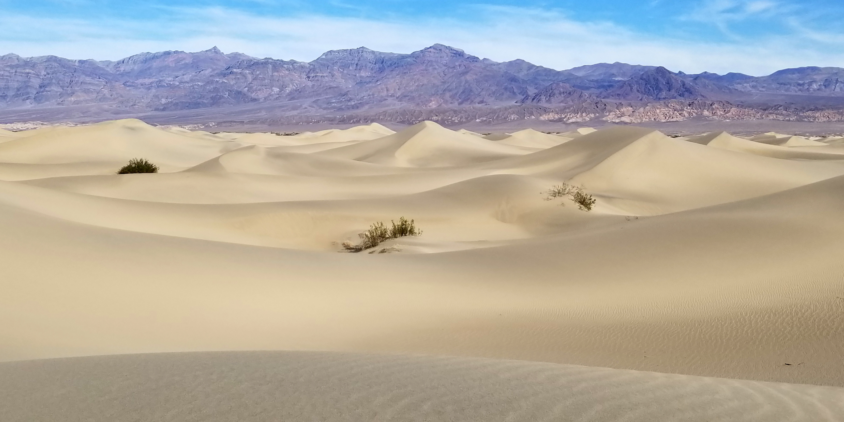 The photograph captures a sprawling landscape of sand dunes under a clear blue sky, set against a backdrop of distant mountains. It evokes a sense of calm and isolation.