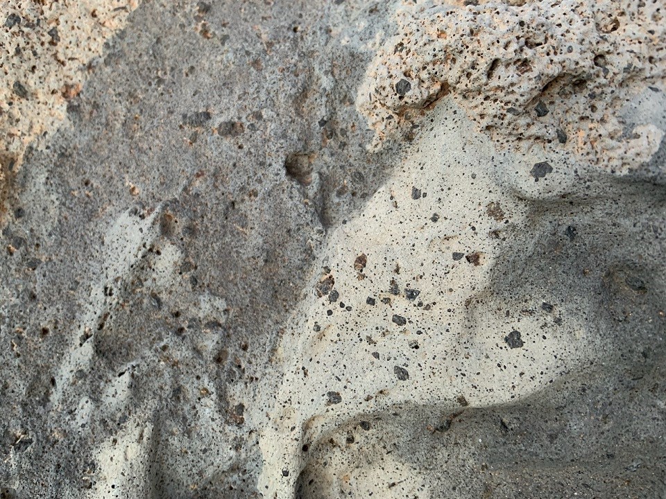 A rock with dark grey and white coloration hosts visible crystals of black mineral pyroxene.