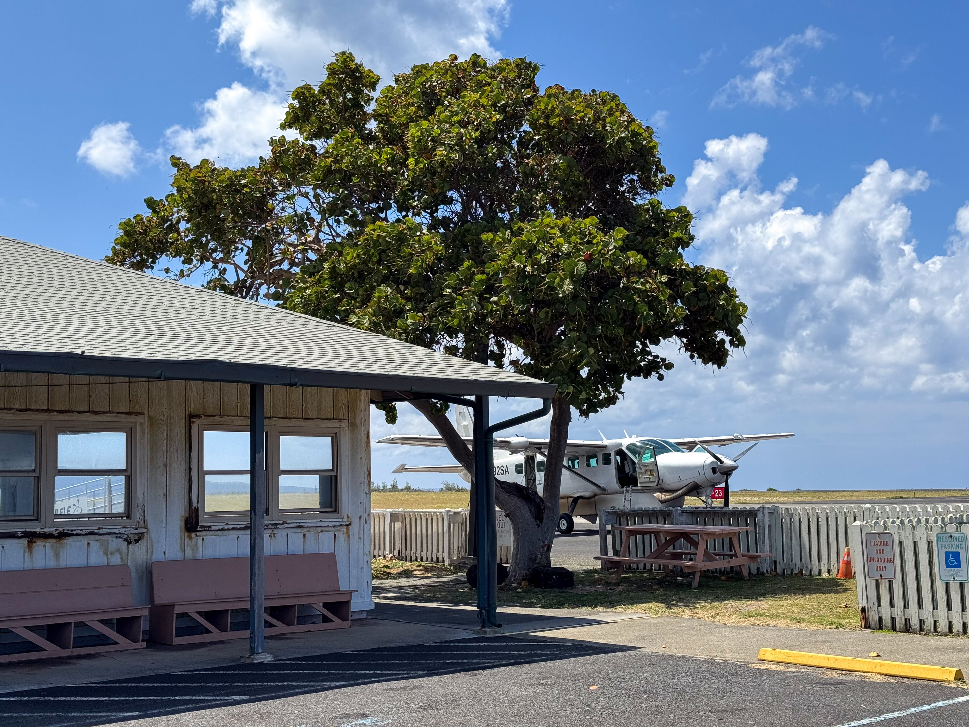 Outdoors; parking lot and windowed building in forefront, fence and tree in midline, and small plane behind and cloudy blue sky above.