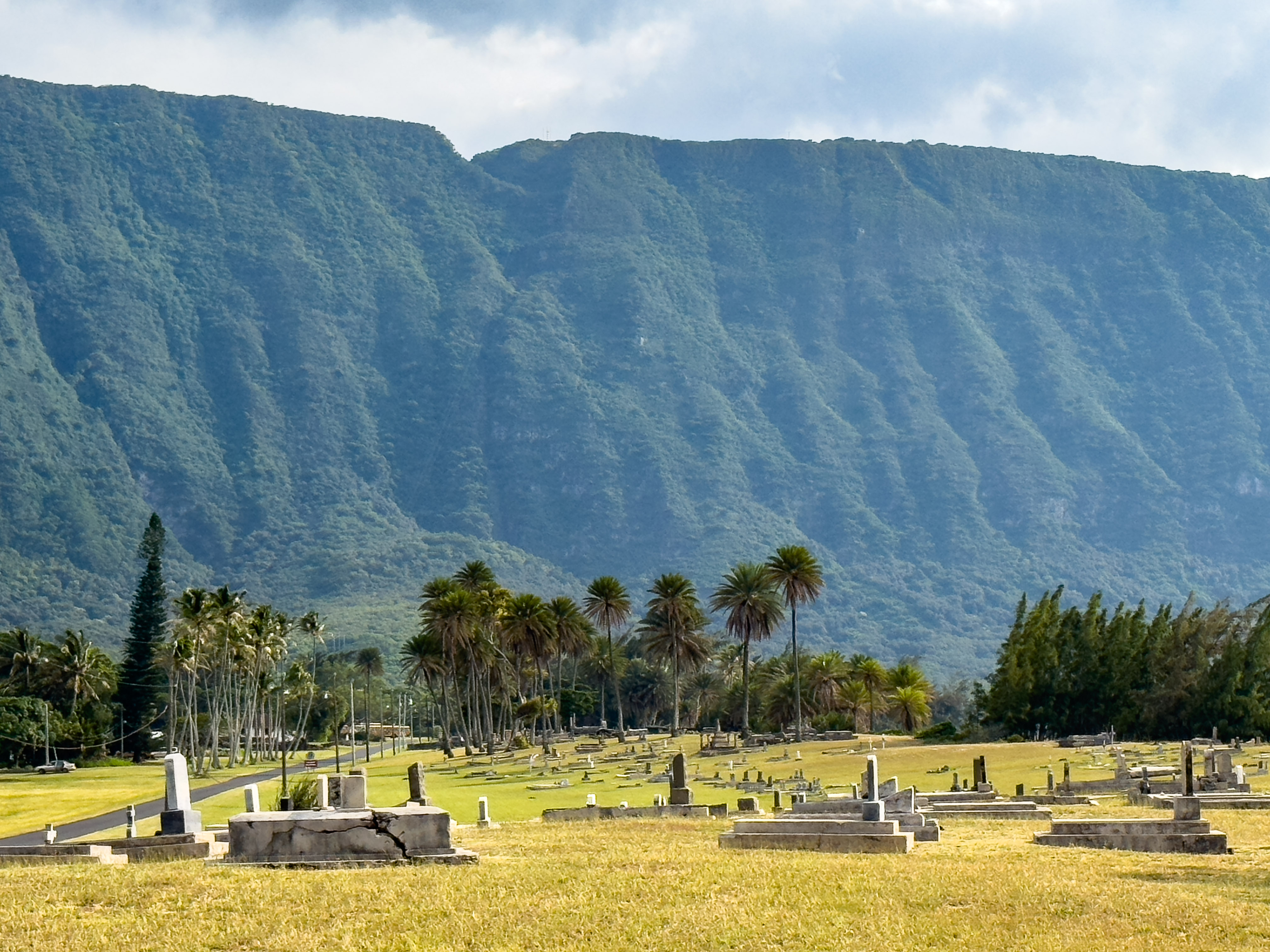 Outdoors; wooden structure on left, tree in center with small plane behind and to right.