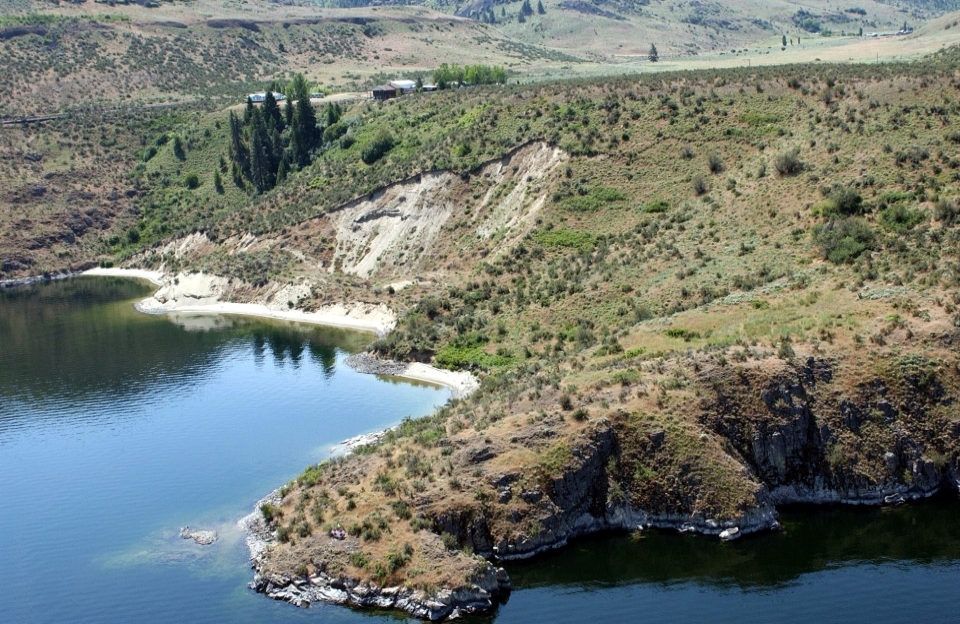 A sandy shoreline with few trees, mostly grass and scrubland.