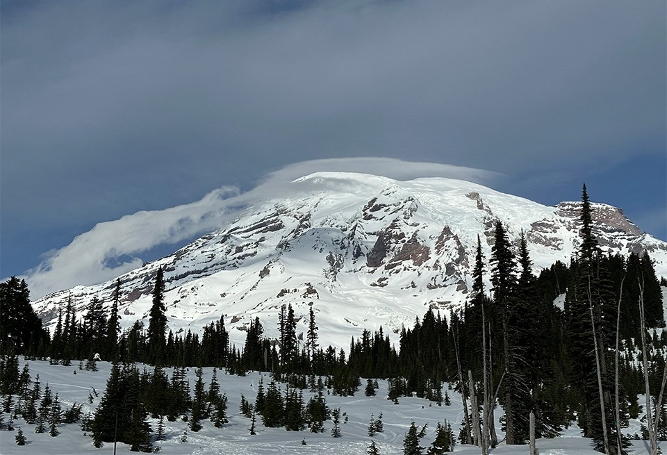 A glaciated mountain peak framed by green meadows dotted by fir trees.