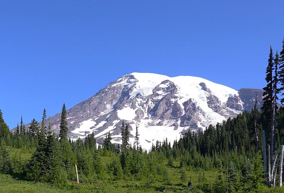 A glaciated mountain peak framed by green meadows dotted by fir trees.