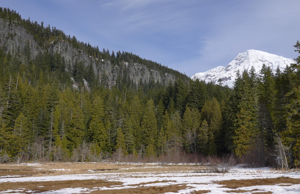 A green meadow framed by forest and a steep cliff. A glaciated mountain rises above the trees in the distance.