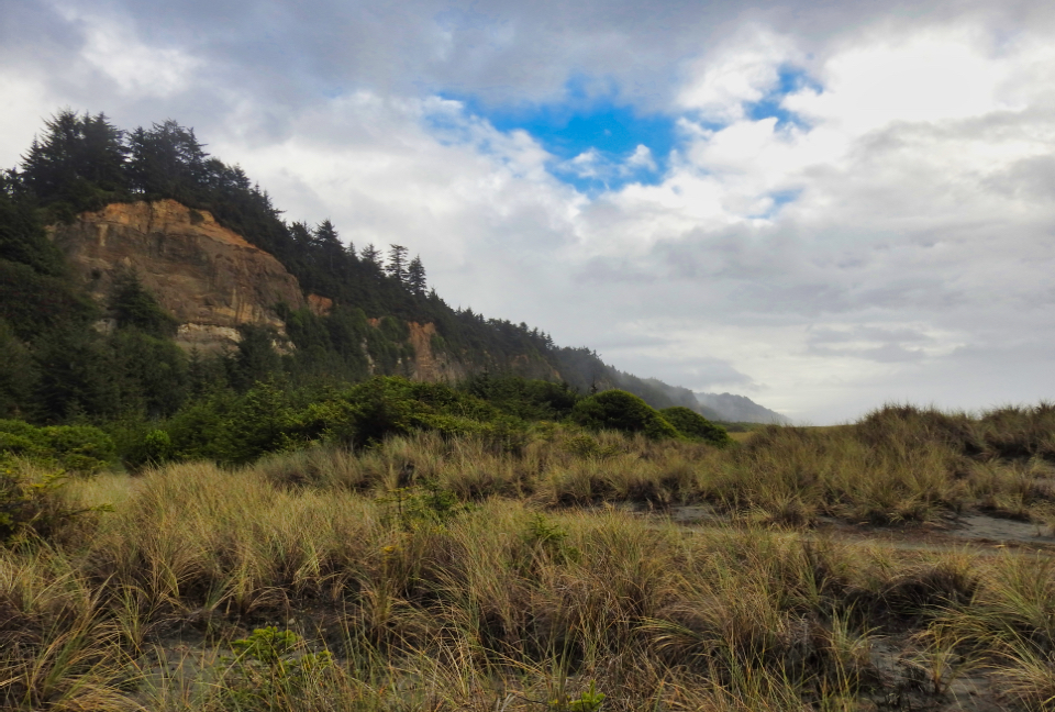 Cliffs with flat ocean front vegetation
