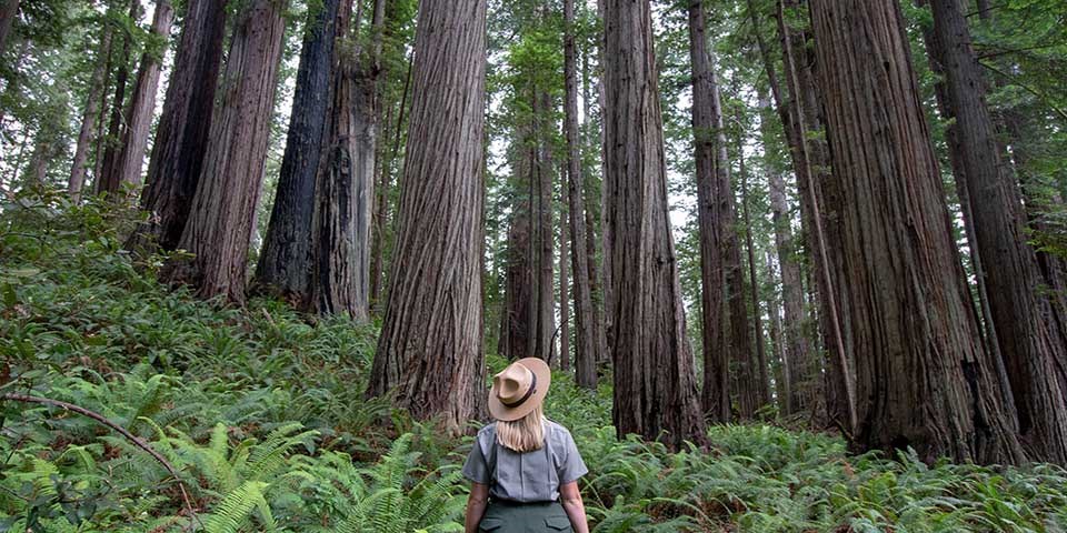 Visitor Centers - Redwood National and State Parks (U.S. National Park ...