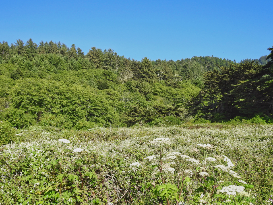 House and barns with meadows, trees, and hills