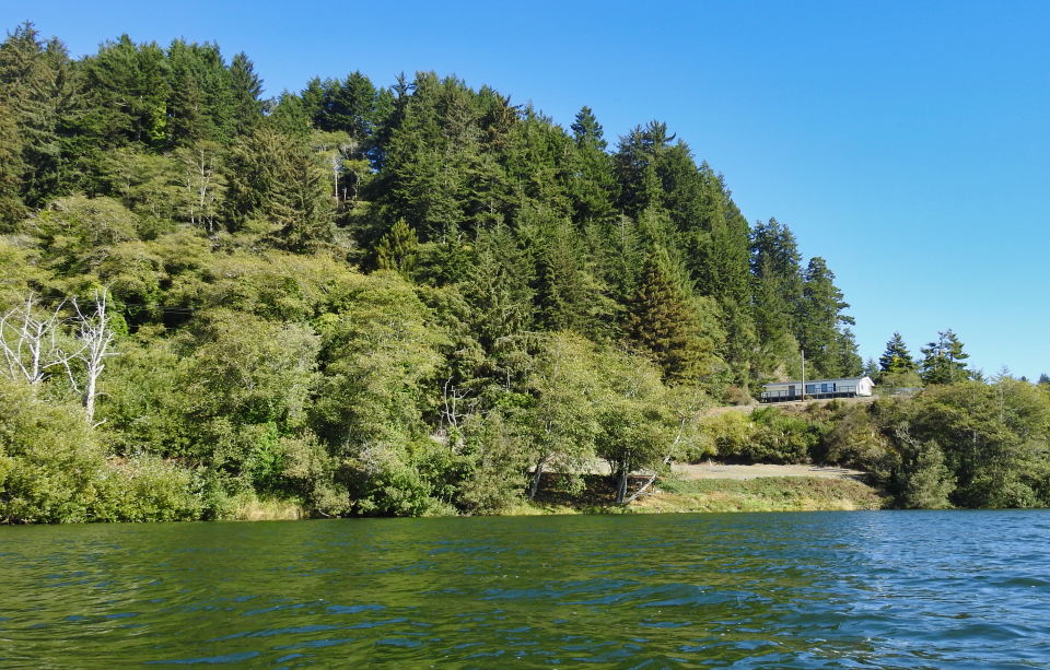 Boat on river with buildings and trees in background
