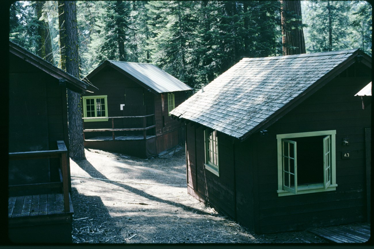 Cabins in the Giant Forest prior to removal