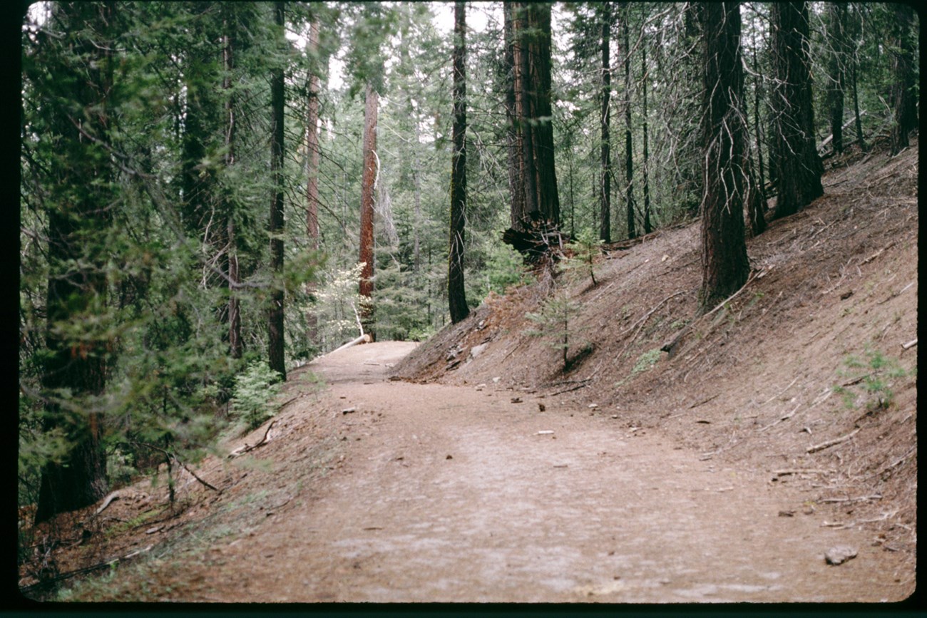 An unpaved roadbed prior to restoration