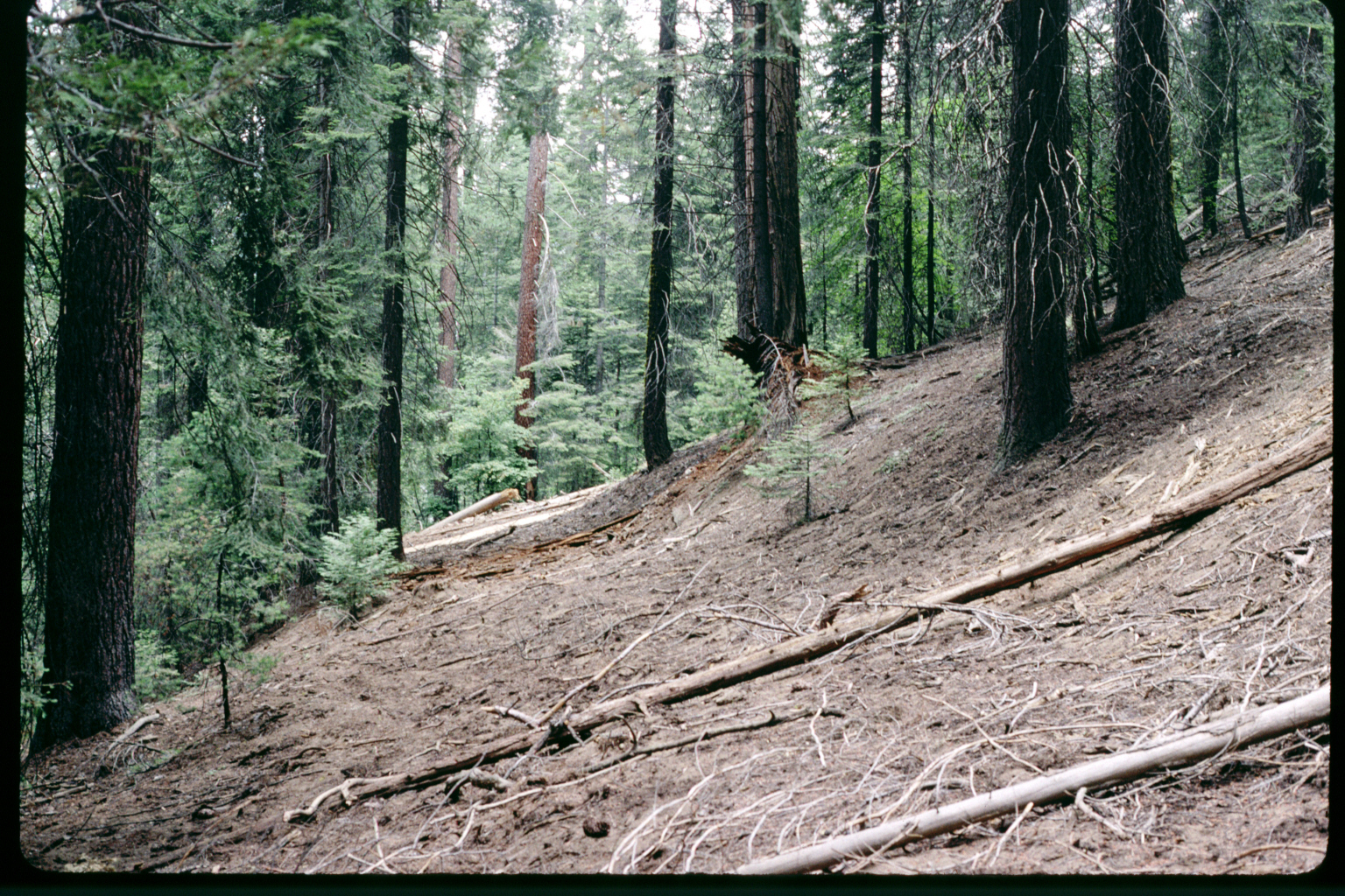 An unpaved roadbed prior to restoration