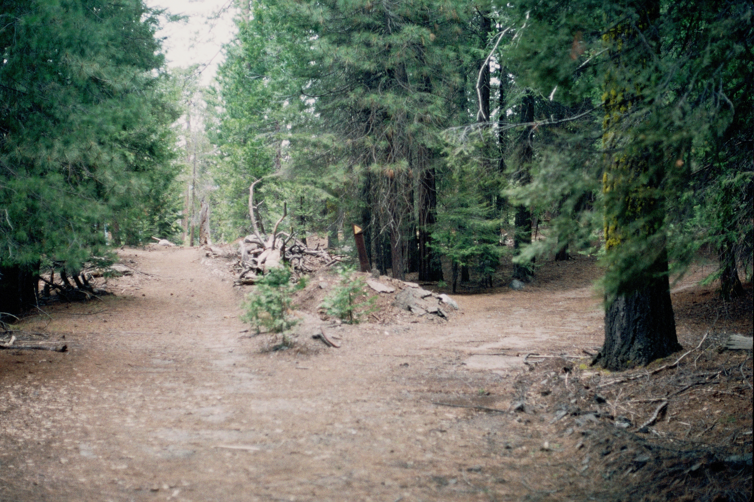 Sunset Campground before restoration