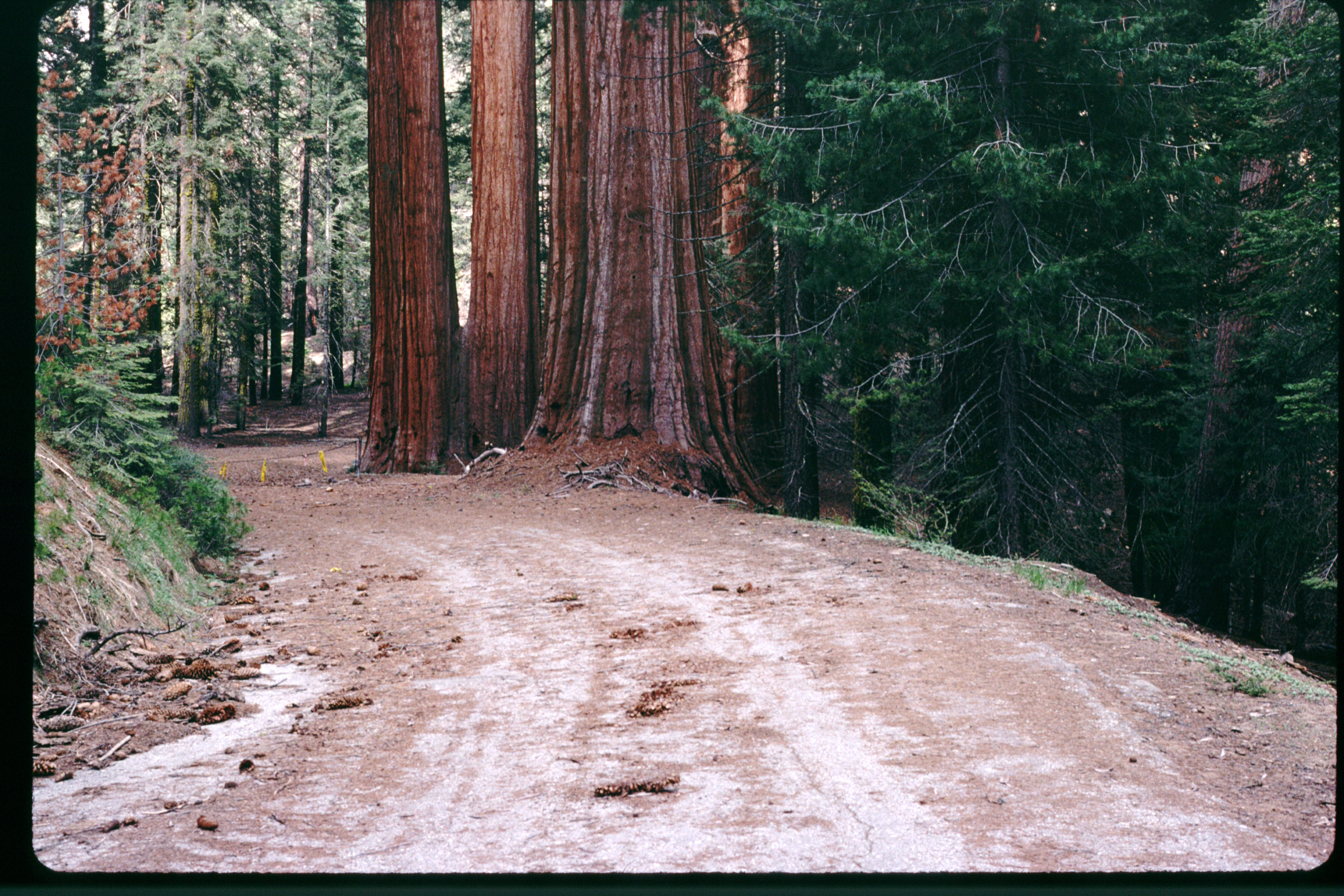 Puzzle Road before restoration