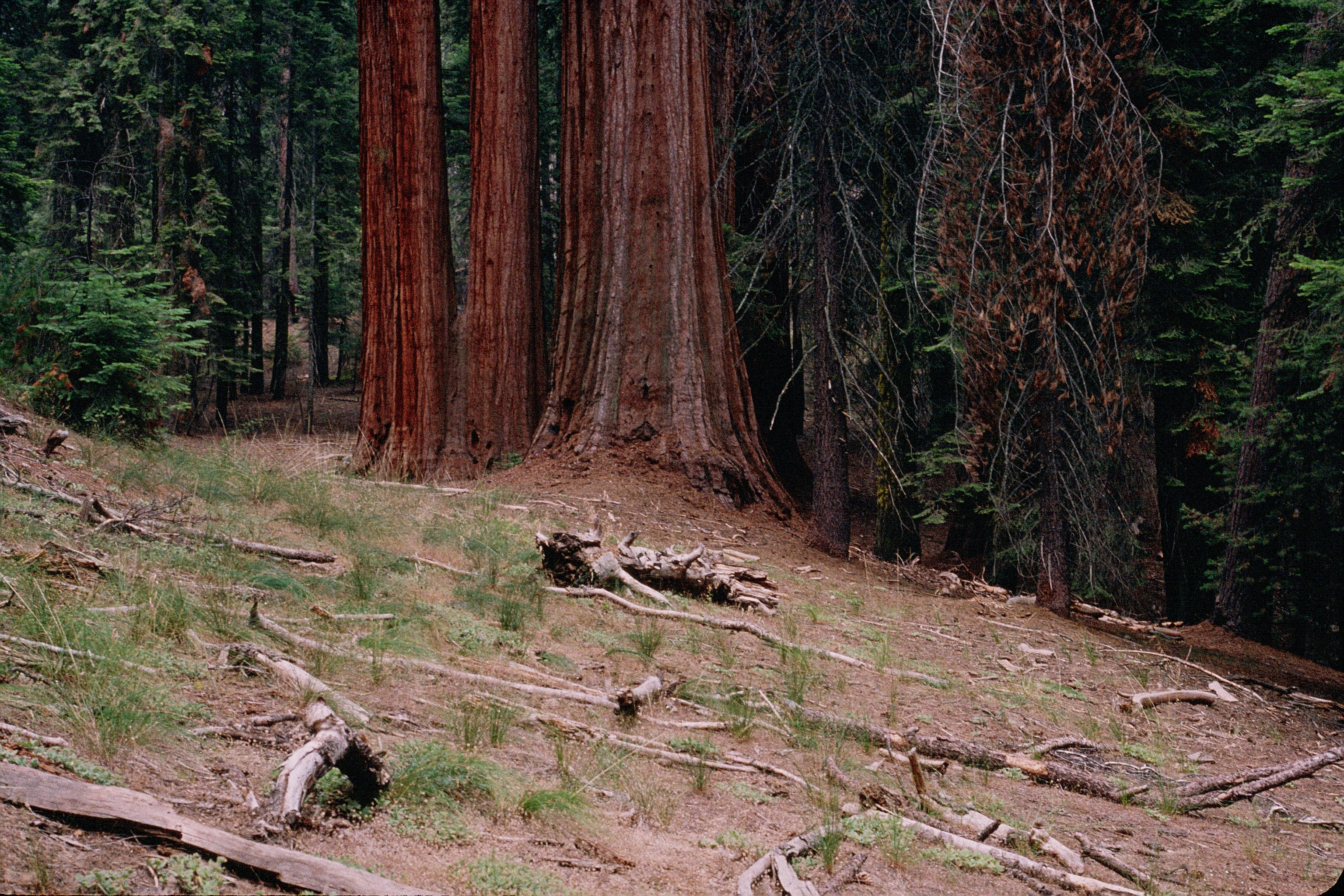 Puzzle Road before restoration