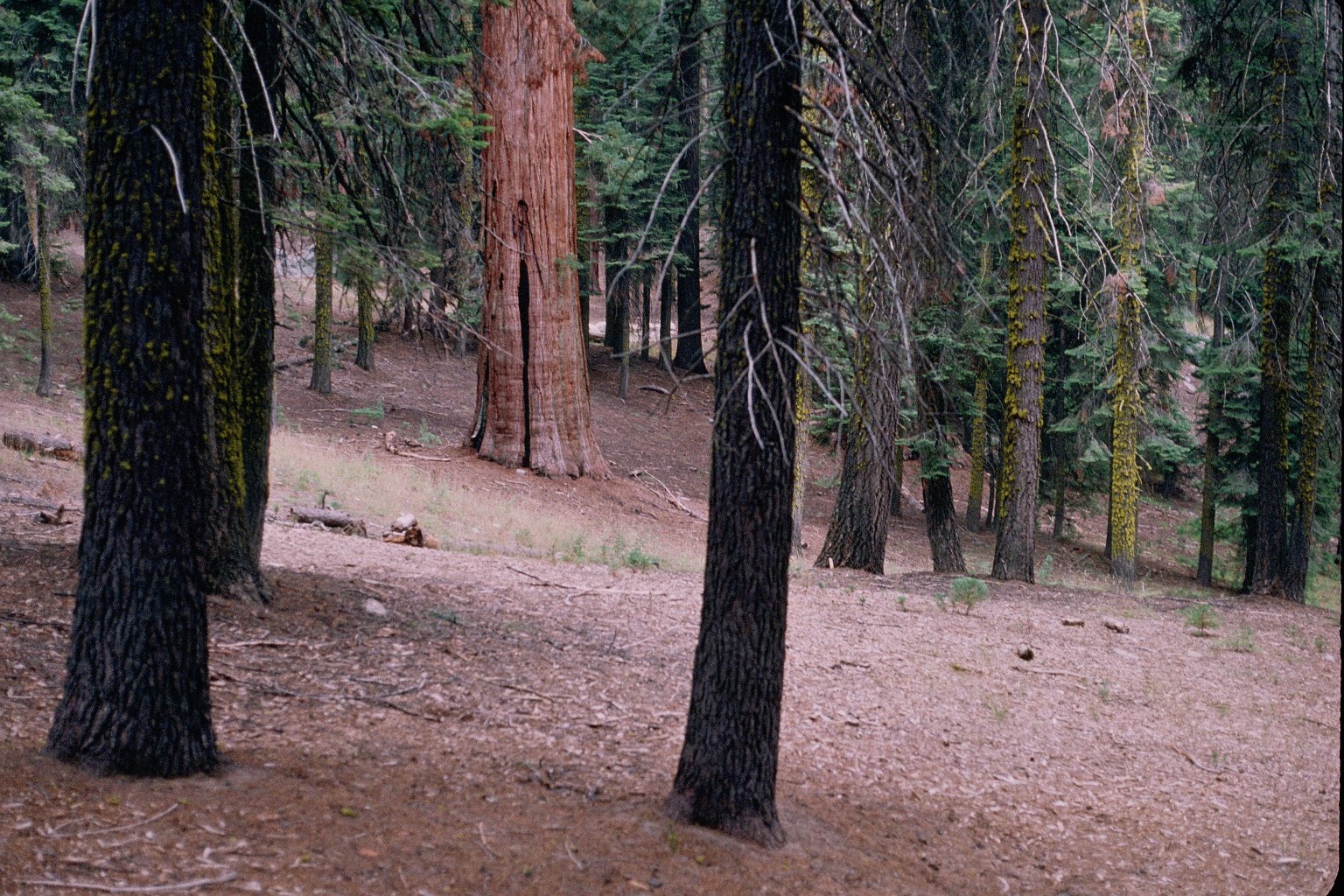A view in the Lodge area before restoration
