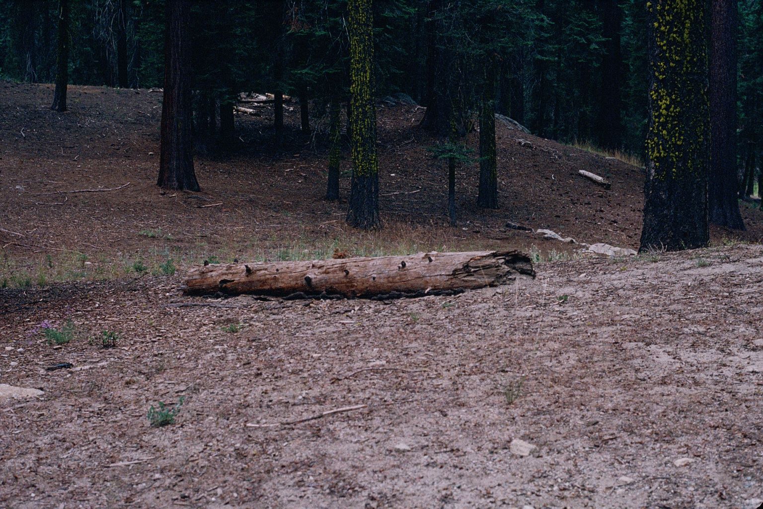 A view in the Lodge area before restoration